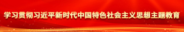 黄操免费@aaa学习贯彻习近平新时代中国特色社会主义思想主题教育